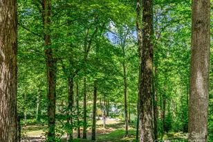 980 Mountain Forest Dr, Union Mills, NC 28167 - Photo 36