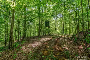 980 Mountain Forest Dr, Union Mills, NC 28167 - Photo 34