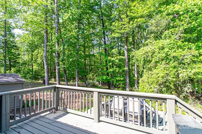 115 Cold Springs Drive, Mill Spring, NC 28756 - Photo 40