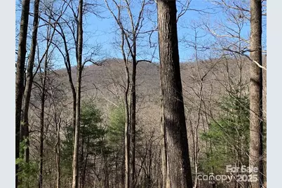 228 Spivey Mountain Road #5, Asheville, NC 28806 - Photo 14