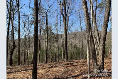 228 Spivey Mountain Road #5, Asheville, NC 28806 - Photo 4