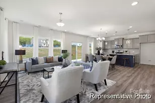 167 Stonewater Dr, Red Cross, NC 28129 - Photo 4