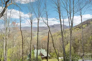 1426 Setzer Cove Rd, Maggie Valley, NC 28751 - Photo 34