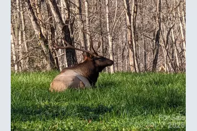 1426 Setzer Cove Road, Maggie Valley, NC 28751 - Photo 46