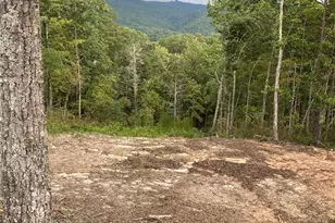 1 Jackson Rdg Ln, Mill Spring, NC 28756 - Photo 2