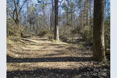 99999 Monticello Road, Weaverville, NC 28787 - Photo 4