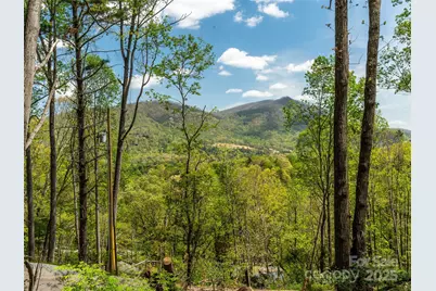 66 Avondale Heights Road, Asheville, NC 28803 - Photo 26