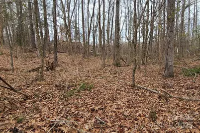 Tbd Lazy Oak Drive, Lancaster, SC 29720 - Photo 6