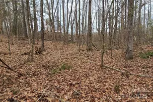 Tbd Lazy Oak Dr, Lancaster, SC 29720 - Photo 6