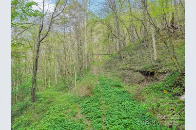 0 Star Crest Drive, Waynesville, NC 28785 - Photo 4