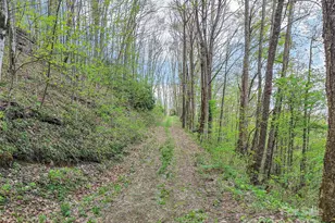 0 Star Crst Dr, Waynesville, NC 28785 - Photo 1