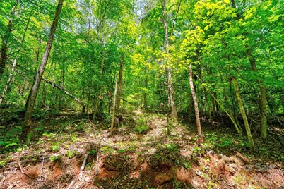 0 Taylor Road, Rutherfordton, NC 28139 - Photo 16