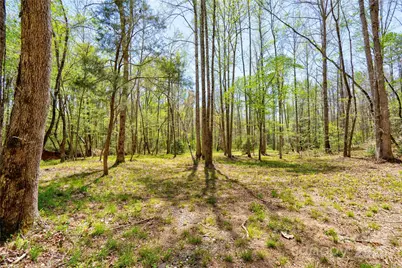 0 Taylor Road, Rutherfordton, NC 28139 - Photo 6