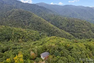 173 Blizzard Ridge, Maggie Valley, NC 28751 - Photo 34