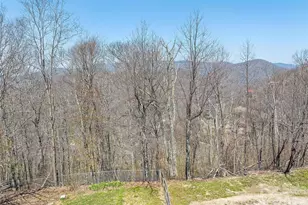 173 Blizzard Ridge, Maggie Valley, NC 28751 - Photo 36