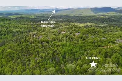 00 River Club Ridge #1029, Lenoir, NC 28645 - Photo 2