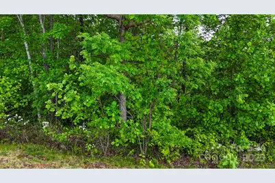 00 River Club Ridge #1029, Lenoir, NC 28645 - Photo 12