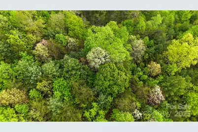 00 River Club Ridge #1029, Lenoir, NC 28645 - Photo 10