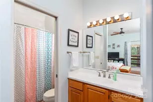 305 Piney Mountain Dr, Asheville, NC 28805 - Photo 12