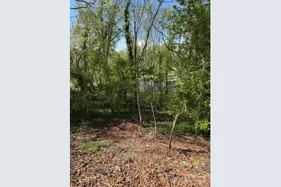 99999 Reese Street, Woodfin, NC 28804 - Photo 1