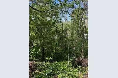 99999 Reese Street, Woodfin, NC 28804 - Photo 4