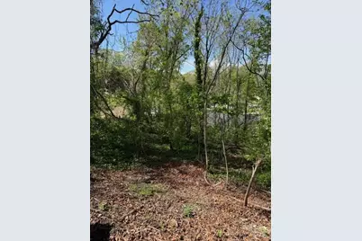 99999 Reese Street, Woodfin, NC 28804 - Photo 2