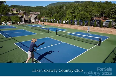 228 Mills Creek Trace, Lake Toxaway, NC 28747 - Photo 44