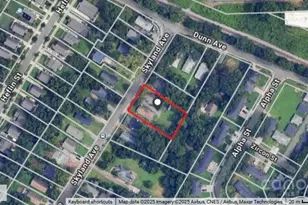 424 Skyland Ave, Charlotte, NC 28205 - Photo 2