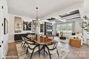 4026 Hickory Spgs Ln, Charlotte, NC 28277 - Photo 10