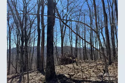 Tbd Doublehead Mountain Road, Newland, NC 28657 - Photo 2