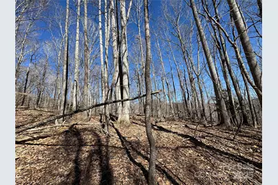 Tbd Doublehead Mountain Road, Newland, NC 28657 - Photo 42