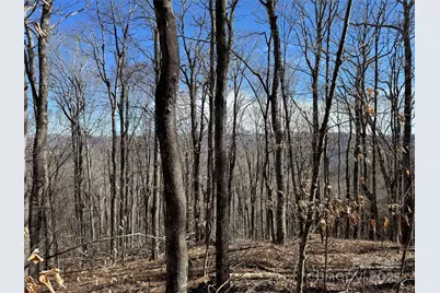 Tbd Doublehead Mountain Road, Newland, NC 28657 - Photo 20