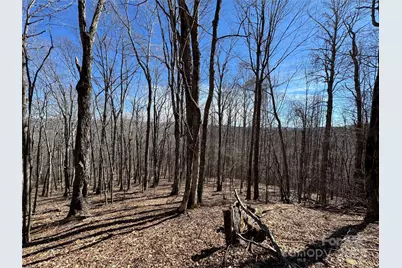 Tbd Doublehead Mountain Road, Newland, NC 28657 - Photo 38
