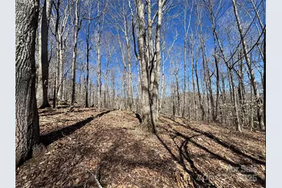 Tbd Doublehead Mountain Road, Newland, NC 28657 - Photo 40