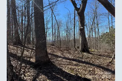 Tbd Doublehead Mountain Road, Newland, NC 28657 - Photo 8