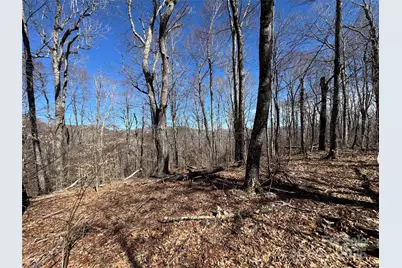 Tbd Doublehead Mountain Road, Newland, NC 28657 - Photo 16