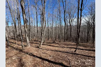 Tbd Doublehead Mountain Road, Newland, NC 28657 - Photo 26