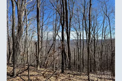 Tbd Doublehead Mountain Road, Newland, NC 28657 - Photo 6