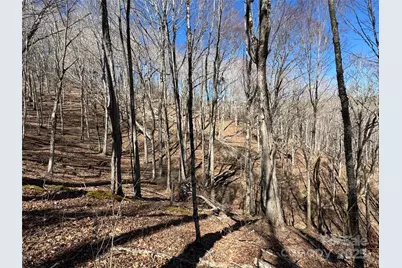 Tbd Doublehead Mountain Road, Newland, NC 28657 - Photo 24