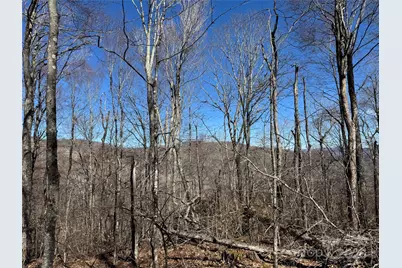 Tbd Doublehead Mountain Road, Newland, NC 28657 - Photo 18