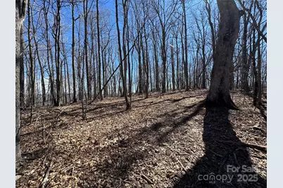 Tbd Doublehead Mountain Road, Newland, NC 28657 - Photo 10