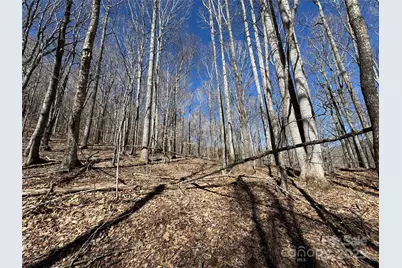Tbd Doublehead Mountain Road, Newland, NC 28657 - Photo 44