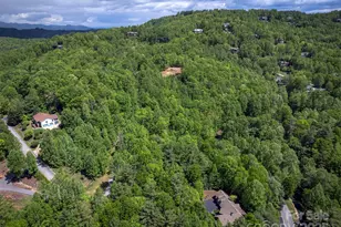 168 Chattooga Run, Hendersonville, NC 28739 - Photo 44