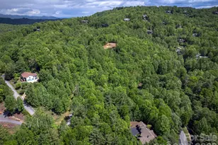 168 Chattooga Run, Hendersonville, NC 28739 - Photo 44