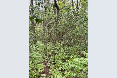 44 A Red Oak Lane #FR 44A, Brevard, NC 28712 - Photo 8
