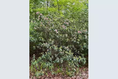 44 A Red Oak Lane #FR 44A, Brevard, NC 28712 - Photo 4