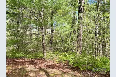 44 A Red Oak Lane #FR 44A, Brevard, NC 28712 - Photo 10