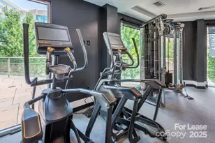 902 W 4th St, Charlotte, NC 28202 - Photo 14