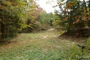 627 Bolick Rd, Fort Mill, SC 29707 - Photo 12