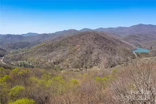 28 & 29 Spruce Chase Ln, Swannanoa, NC 28778 - Photo 44